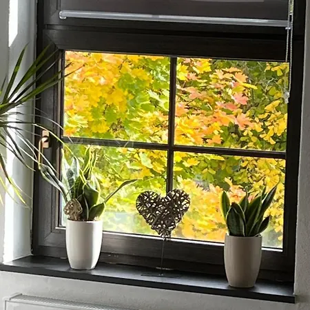 Park Loft アパート